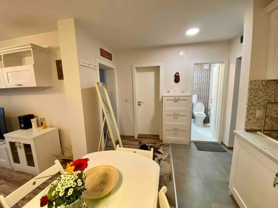 Stylish Magenta - Terrace & Free Parking Apartment Sofia